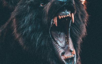 Episode 84 – Anger