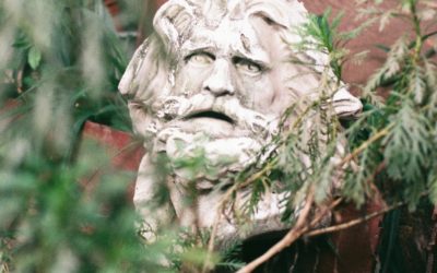 Episode 85 -Healing a Negative Father Complex: correcting our guiding principles