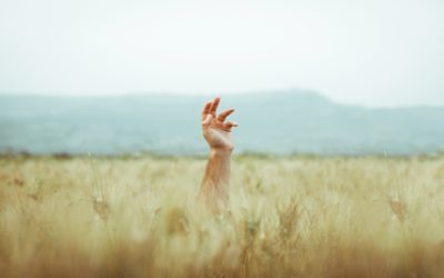 REVIVING OUR CAPACITY TO FEEL: the heart of Jung’s legacy