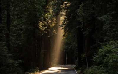 TRUTH TELLING: revelations & realities