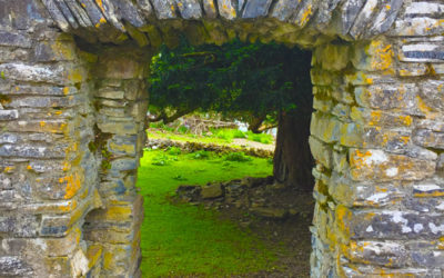 THRESHOLD: Moving Between the Realms