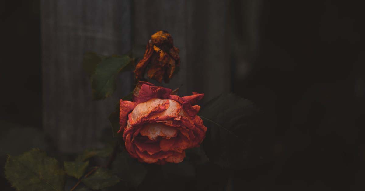 DEATH: A Jungian Perspective